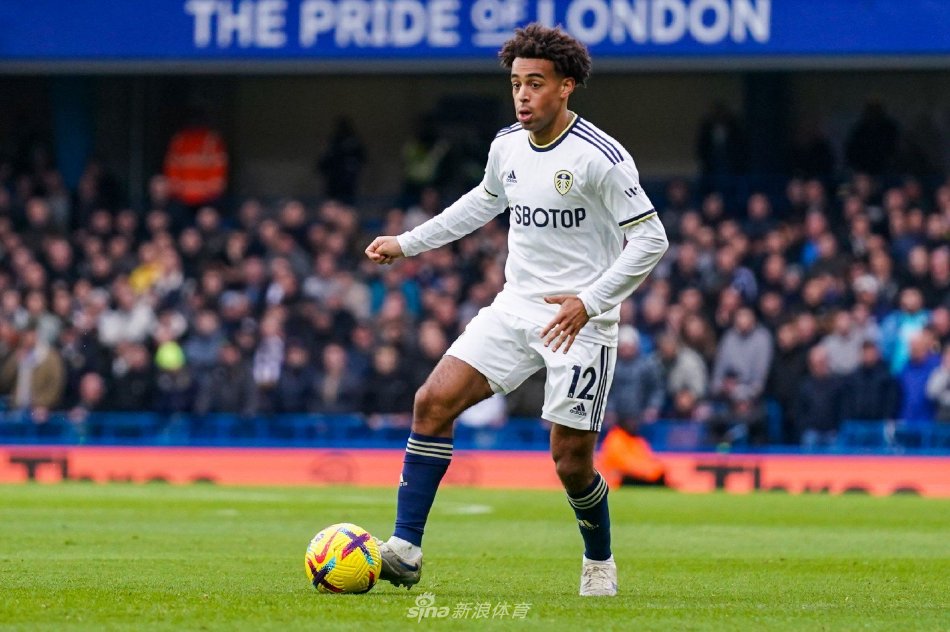 系和阵容 系和阵容