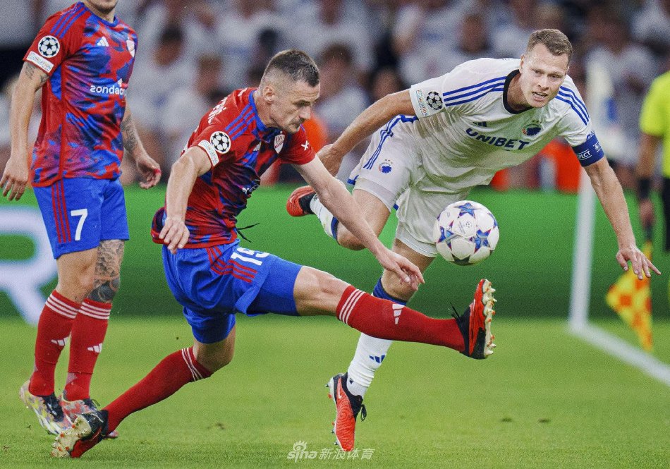 球迷的目光 球迷的目光